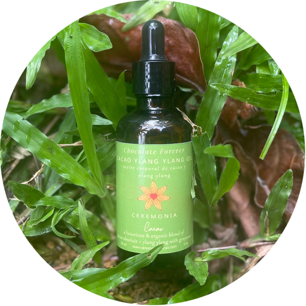 Cacao Ylang Ylang Oil